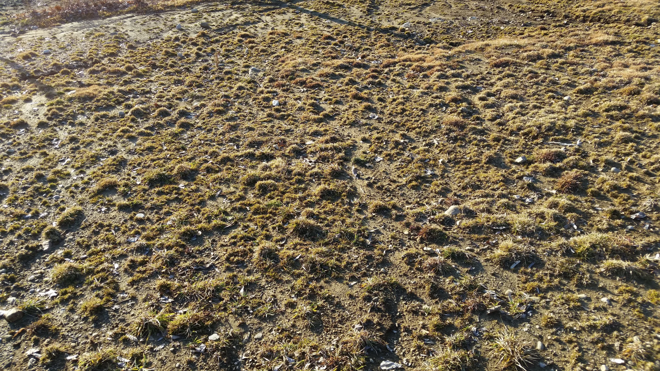 Our Public Comment on Vermont's Required Agricultural Practices