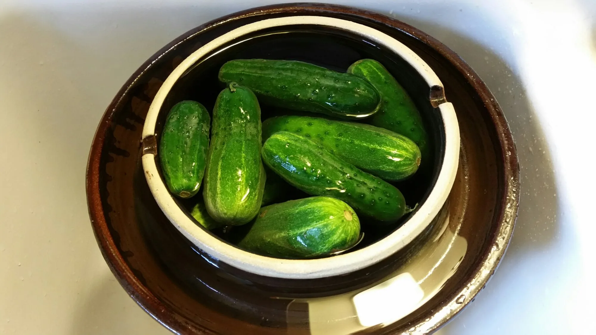 Our Season's First Lacto-Fermented Garlic Dill Pickles