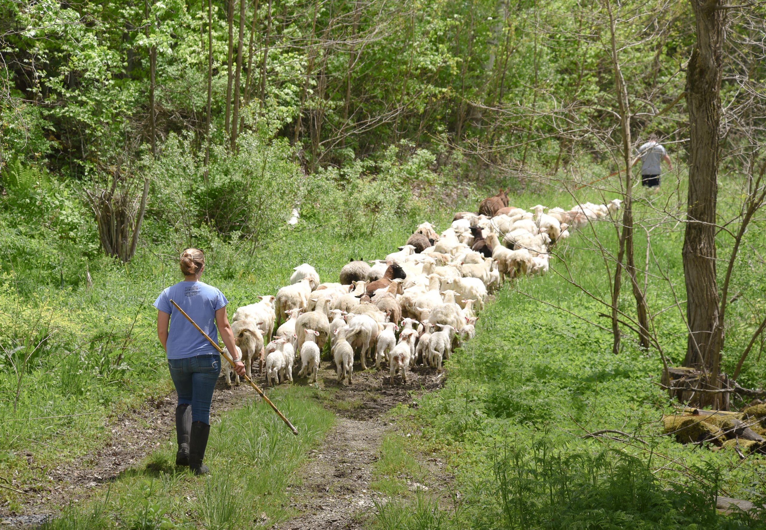 Our Regenerative Agriculture Bill Gets Support from Kiss the Ground and Regeneration International