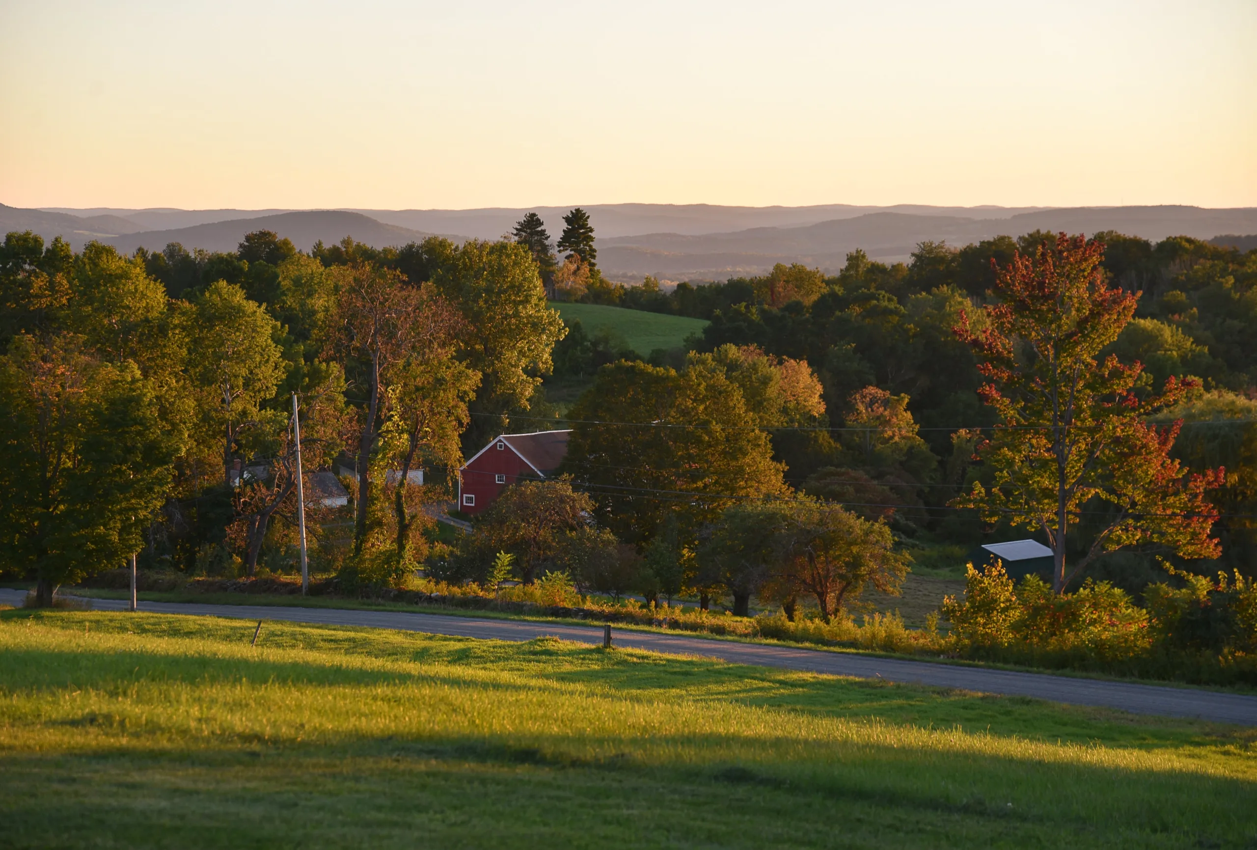 The Story Behind Studio Hill's Expansion! New Land, New Farm Stays!