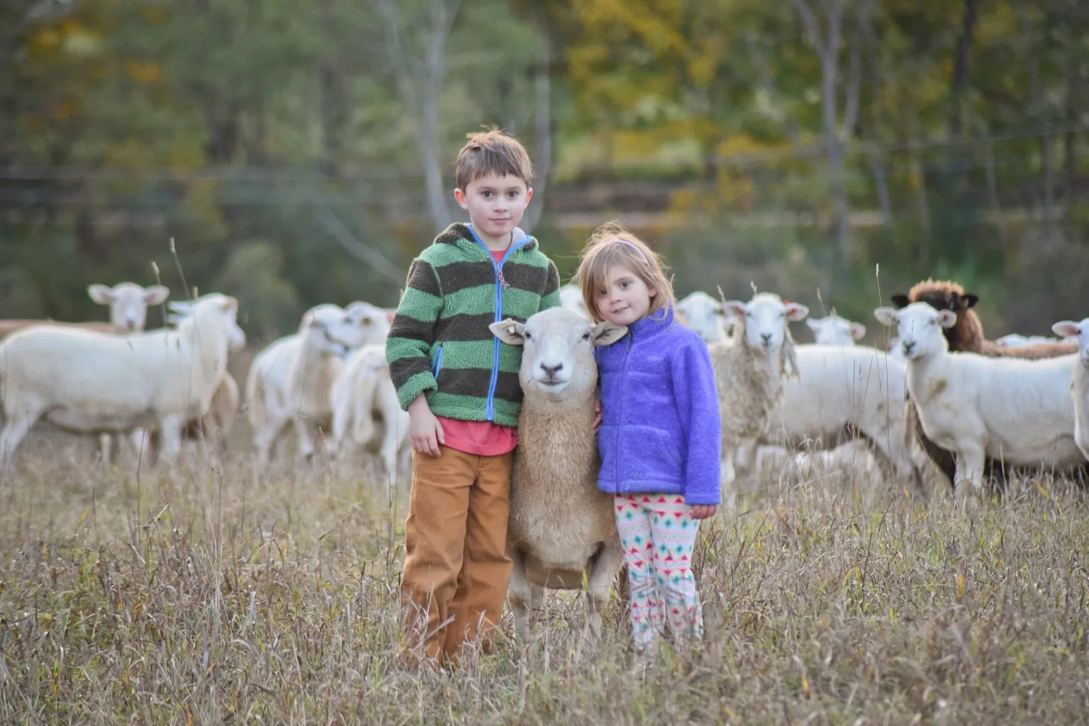 Poem: The Farming Father